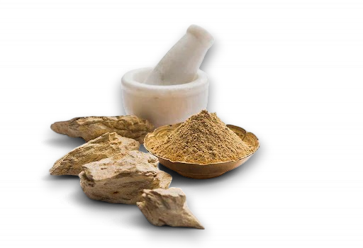 PragnaMultaniMittiPowder100g-3_512x350-Photoroom