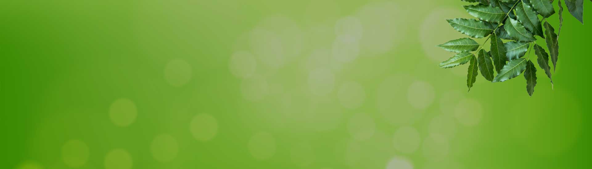 banner1